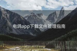 电鸽app下载文件管理指南