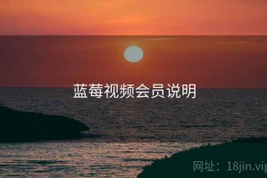 蓝莓视频会员说明