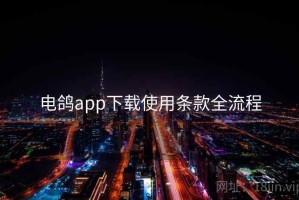 电鸽app下载使用条款全流程