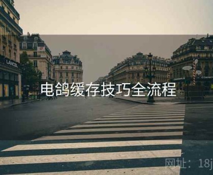 电鸽缓存技巧全流程