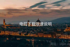 电鸽下载限速说明