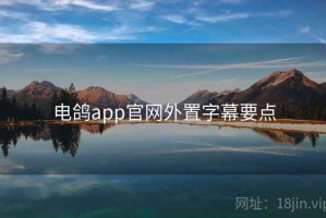 电鸽app官网外置字幕要点