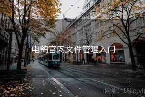 电鸽官网文件管理入门