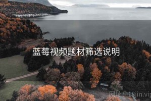 蓝莓视频题材筛选说明