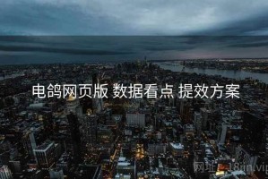 电鸽网页版 数据看点 提效方案