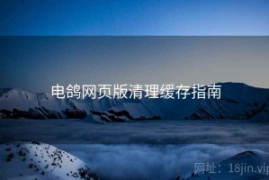电鸽网页版清理缓存指南