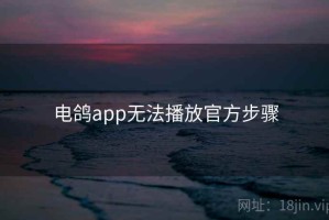 电鸽app无法播放官方步骤