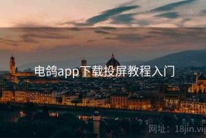 电鸽app下载投屏教程入门