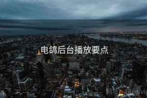 电鸽后台播放要点