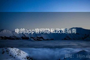 电鸽app官网隐私政策指南