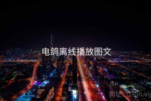 电鸽离线播放图文