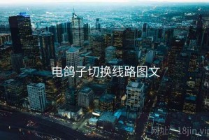 电鸽子切换线路图文