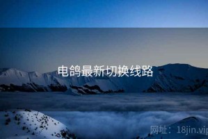 电鸽最新切换线路