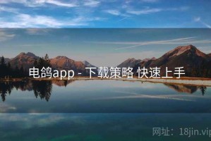 电鸽app - 下载策略 快速上手