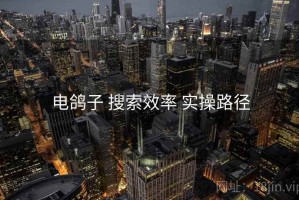 电鸽子 搜索效率 实操路径