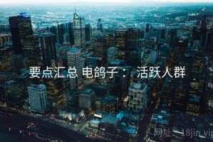 要点汇总 电鸽子 ： 活跃人群