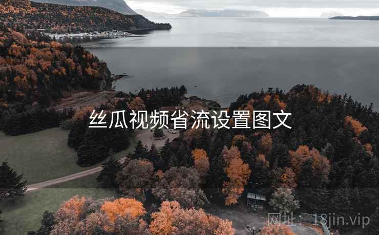 丝瓜视频省流设置图文 丝瓜视频省流设置图文