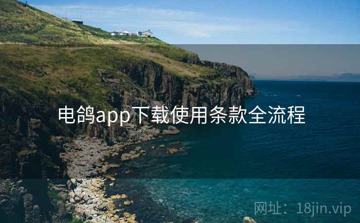 电鸽app下载使用条款全流程