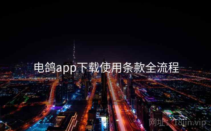 电鸽app下载使用条款全流程