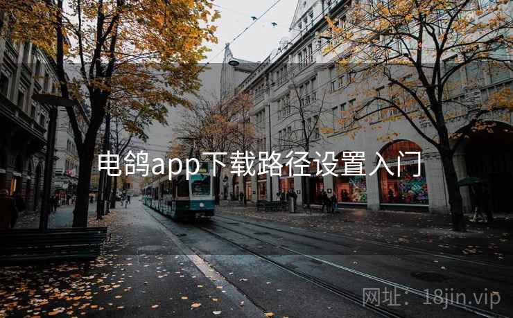 电鸽app下载路径设置入门 电鸽app下载路径设置入门
