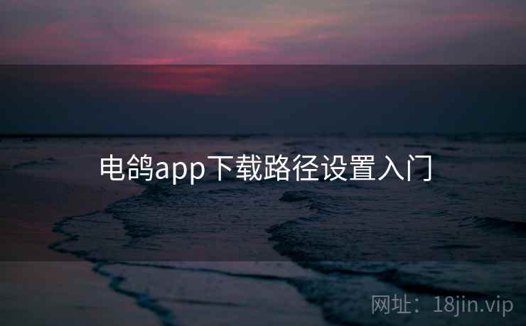 电鸽app下载路径设置入门 电鸽app下载路径设置入门