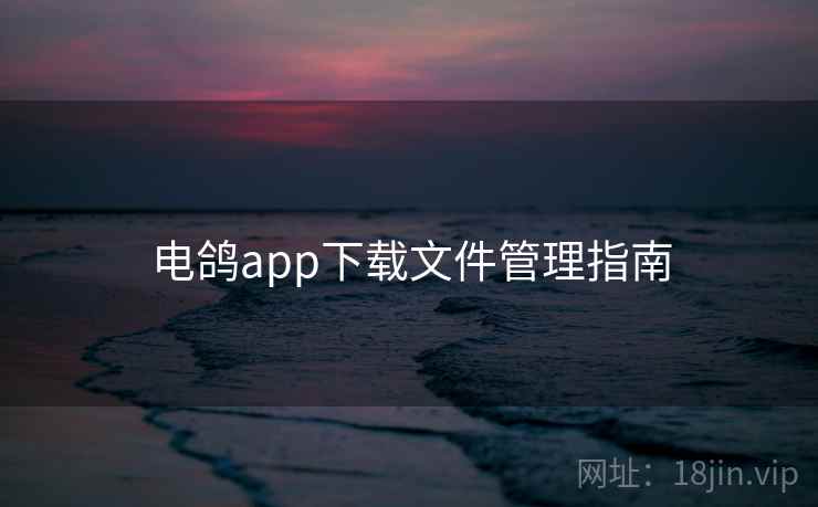 电鸽app下载文件管理指南 电鸽app下载文件管理指南