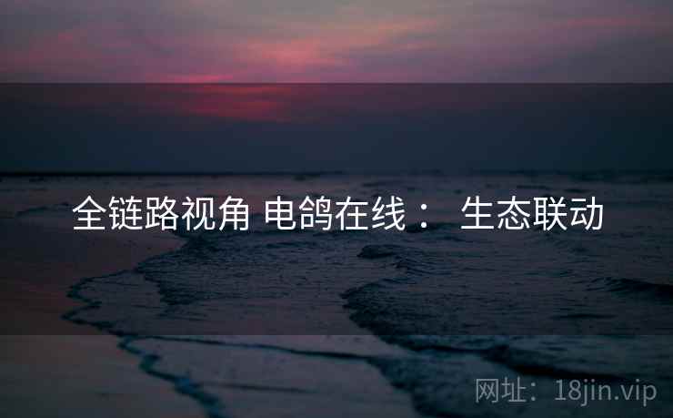 全链路视角 电鸽在线 ： 生态联动